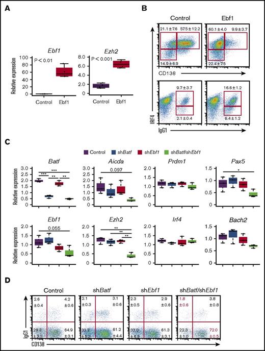 Figure 3. Ebf1 and the Batf/IRF4 complex cooperatively promote the expression of Aicda and Ezh2. (A-B) Ebf1 transduction in B1-8hi splenic B cells. Cells were transduced with control retroviral vector or retroviral vector expressing Ebf1 on day 1 after differentiation stimuli and sorted on the basis of green fluorescent protein (GFP) expression on day 3. One experiment was performed using 3 mice. (A) RT-PCR analysis of Ebf1 and Ezh2 transcripts. (B) Flow cytometry analysis of intracellular IRF4, CD138, and IgG1. Numbers adjacent to outlined areas indicate percent IRF4loCD138nega cells (top lower), IRF4hiCD138nega cells (top upper left), IRF4hiCD138posi cells (top upper right), IRF4loIgG1posi cells (bottom lower), or IRF4hiIgG1posi cells (bottom upper). (C-D) Knockdown of Batf and/or Ebf1 in B1-8hi splenic B cells. Cells were transduced with a control vector or vector targeting Batf (shBatf) and vector targeting Ebf1 (shEbf1) on day 1 after differentiation stimuli. On day 3, cells were sorted on the basis of GFP expression for control, and GFP (shBatf) and/or dsRed (shEbf1) expression for shBatf and/or shEbf1. One experiment was performed using 3 mice. (C) RT-PCR analysis of transcripts of indicated genes. (D) Flow cytometry analysis of surface CD138 and IgG1. For panels A and C, results are presented relative to the abundance of transcripts encoding Β2m, and shown with box-and-whisker plot. *P < .05; **P < .01; ***P < .001. For panels B and D, data are representative of 3 mice, and shown with the means and standard deviation (SD), respectively.