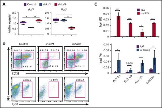 Figure 5. Knockdown of Ikaros but not Aiolos resulted in defect of plasma cell differentiation. (A-B) Knockdown of Ikaros or Aiolos in B1-8hi splenic B cells. Cells were transduced with a control vector or vector targeting Ikaros (shIkzf1) or Aiolos (shIkzf3) on day 1 after differentiation stimuli, then sorted on the basis of GFP expression on day 3. One experiment using 3 mice. (A) RT-PCR analysis of Ikzf1 and Ikzf3 transcripts. Results are presented relative to the abundance of transcripts encoding Β2m, and shown with box-and-whisker plot. (B) Flow cytometry analysis of intracellular IRF4 and CD138 and IgG1. Numbers adjacent to outlined areas indicate percent IRF4loCD138nega cells (top lower), IRF4hiCD138nega cells (top upper left), IRF4hiCD138posi cells (top upper right), or IgG1posi cells (bottom). Data are representative of 3 mice, and shown with the mean and SD, respectively. (C) The binding of IRF4 or Ikaros to their regulatory regions at the Ebf1, Haao, and Setd2 loci. B1-8hi splenic B cells were stimulated for 48 hours, and ChIP assay was performed using control IgG, α-IRF4, or α-Ikaros, followed by quantitative PCR analysis. Binding enrichments is presented relative to input DNA. The average enrichment and SD is from 3 independent experiments for α-IRF4, and 2 independent experiments with technical duplicate for α-Ikaros. For panels A and C, *P < .05; **P < .01; ***P < .001.
