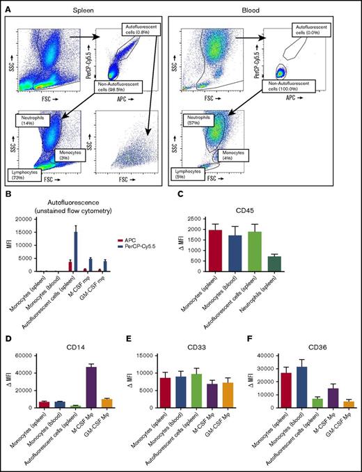 Figure 2. Splenocytes contain an autofluorescent cell population of the monocyte/macrophage lineage. (A) Representative flow cytometry plots of unstained single-cell suspensions of splenocytes (left) and blood leukocytes (right) showing an autofluorescent cell population in splenocytes but not in blood. Another consistent feature of splenocytes is the large proportion of lymphocytes, which are in part larger than blood lymphocytes. Percentages are indicated, figure is representative of n = 82 spleens. (B) MFIs for allophycocyanin (APC) and peridinin-chlorophyll protein-Cy5.5 (PerCP-Cy5.5) in unstained samples, comparing the autofluorescent cells in the spleen and spleen monocytes gated as in panel A, with blood monocytes, M-CSF Mφ, and GM-CSF Mφ cultured monocyte-derived macrophages. (C-F) Stainings of CD45, CD14, CD33, and CD36 on various cell types in spleen and blood. Mean ± standard error of the mean (SEM) of n ≥ 8 are shown for each group. FSC, forward scatter; MFI, median fluorescence intensity; Δ MFI, MFI corrected for staining with an isotype control; M-CSF Mφ , monocyte-derived macrophages cultured for 9 days with M-CSF; GM-CSF Mφ, monocyte-derived macrophages cultured for 9 days with GM-CSF; SSC, side scatter.