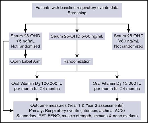 Figure 1. ViDAS trial schema. FENO, fractional exhaled NO; PFT, pulmonary function tests.