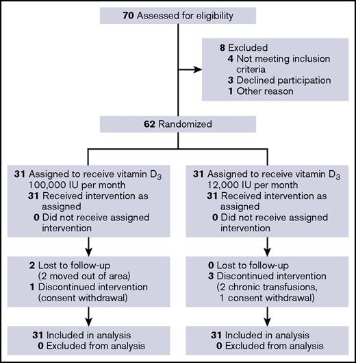 Figure 2. ViDAS participant flow diagram.