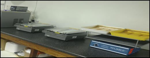 Isoelectric focusing electrophoresis unit.