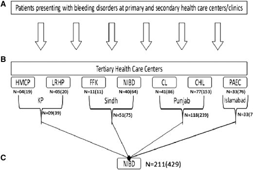 (A) Samples were sent to the central reference laboratory at NIBD where the tests were repeated to establish reliability. (B) The following tertiary health care centers (from left to right) are shown: Hayatabad Medical Complex (HMCP); Lady Reading Hospital (LRHP); Khyber Pakhtunkhwa (KP); Fatimid Foundation Karachi (FFK); National Institute of Blood Diseases (NIBD); Chughtai’s Laboratory (CL); Children’s Hospital Lahore (CHL); and Pakistan Atomic Energy Commission (PAEC). For each tertiary health care center, “N” indicates the number of patients with ARBDs and the number in parentheses indicates the total number of patients initially recruited from each center. Prothrombin time (PT), activated partial thromboplastin time (APTT), bleeding time, and fibrinogen levels were measured. Patients with isolated prolonged APTT were tested for factor VIII (FVIII) and FIX using factor assays This was followed by FXI:C-level assessment for patients with normal FVIII and FIX levels. Samples were reanalyzed except platelet aggregation studies. All rare clotting factor defects such as FII, VII, X, XI , and XIII were tested in a reference laboratory (NIBD) because of the unavailability of testing facilities. Platelet aggregation studies were repeated in PAEC, CL, CHL, and NIBD. Patients with low FVIII levels were screened for VWD. Patients with simultaneous prolongation of PT and APTT were tested for FII, FV, and FX. Peripheral blood film examination and platelet aggregation studies were performed to assess platelet disorders. Urea clot solubility testing was performed to detect FXIII levels if platelet function tests were normal. Sanger sequencing was performed for genetic analysis of patient samples. Descriptive analysis was performed using SPSS version 16 software.