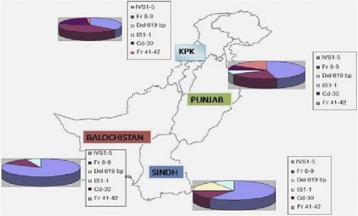 Distribution of different genetic mutations in different provinces. KPK, Karachi, Pakistan.