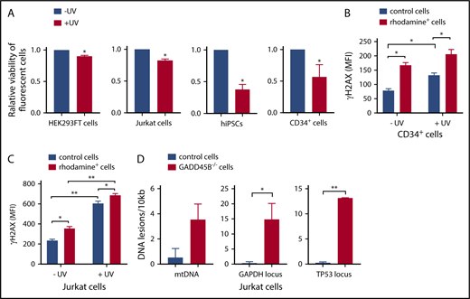 Figure 3. GADD45B knockout leads to reduced cell viability and increased UV-induced cellular stress. (A) Cell viability of HEK293FT cells, Jurkat cells, iPSCs, and CD34+ HSPCs, transfected with labeled tracr-Cas9 RNP (nontarget RNP) or with labeled GADD45B-targeting CRISPR/Cas9–gRNA RNP, was measured after exposing the cells to UV for 5 minutes, followed by 2 hours of additional incubation. Relative viability of nonirradiated control cells was set as 1.0. (B) CD34+ HSPCs were transfected with fluorescein-labeled GADD45B-targeting CRISPR/Cas9–gRNA RNP. After 48 hours, the cells were exposed to UV irradiation for 5 minutes. Following 2 hours of further incubation, intracellular γH2AX (phospho-Ser139) levels were measured by flow cytometry. (C) Jurkat cells were transfected with CX-rhodamine–labeled GADD45B-targeting CRISPR/Cas9–gRNA RNP. After 48 hours, the total population was exposed to UV irradiation for 5 minutes, followed by 2 hours of incubation before performing intracellular staining and FACS analysis for the DNA damage marker γH2AX (phospho-Ser139). (D) mtDNA damage (left panel) and nuclear DNA damage in the GAPDH locus (middle panel) and TP53 locus (right panel) were quantified in Jurkat control cells and a GADD45B−/− Jurkat clone using the LORD-Q method. Data are mean ± standard deviation from 3 (A-B) or 2 (C-D) independent experiments, each performed in duplicates. *P ≤ .05, **P ≤ .01, Student t test.