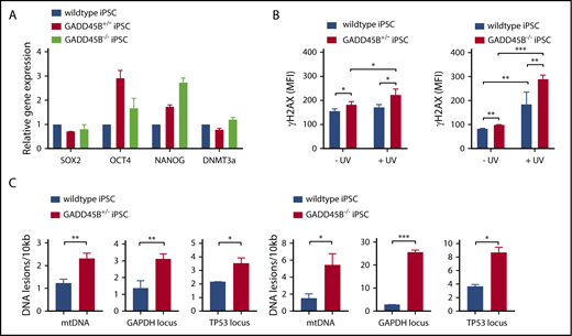 Figure 4. Heterozygous and homozygous GADD45B knockout in human iPSCs results in high levels of DNA damage. (A) Pluripotency state of GADD45B+/− and GADD45B−/− iPSCs was assessed by real-time quantitative PCR and compared with validated healthy donor–derived human iPSCs expressing wild-type GADD45B. (B) GADD45B wild-type, GADD45B+/−, and GADD45B−/− iPSCs were irradiated with UV light for 5 minutes, incubated under cell culture conditions for 2 hours, and stained for intracellular γH2AX (phospho-Ser139). DNA damage in GADD45B wild-type and GADD45B heterozygous-knockout (C) or homozygous-knockout (D) iPSCs was quantified by the LORD-Q method. Cells were analyzed for mtDNA damage and nuclear DNA damage in the GAPDH and TP53 gene loci. All data are mean ± standard deviation derived from 3 independent experiments. *P ≤ .05, **P ≤ .01, ***P ≤ .001, Student t test.
