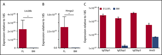 Figure 4. Fetal megakaryocytes express high levels of Lin28B and Hmga2 transcripts, as well as several other known Lin28b/Let-7 target genes. (A) Transcript levels of Lin28B relative to small ribosomal subunit 18S (18S) in cultured megakaryocytes from E12.5 fetal livers or adult bone marrow. Significance was determined using an unpaired 2-tailed Student t test *P < .0001; n = 3. (B) Transcript levels of high-mobility group AT-hook 2 (Hmga-2) relative to 18S in cultured megakaryocytes from embryonic day 12.5 fetal livers or adult bone marrow. Significance was determined using an unpaired 2-tailed Student t test *P < .0001; n = 3. (C) Transcript levels of Igf2bp1, Igf2bp2, Igf2bp3, and Arid3 relative to 18S in cultured megakaryocytes from E12.5 fetal livers or adult bone marrow. Significance was determined using 2-way ANOVA. *P < .0001; n = 3.