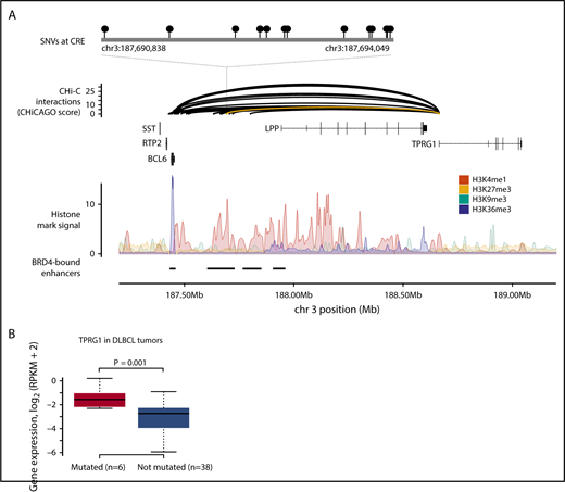 Figure 3. SNVs at CREs are associated with TPRG1 expression in DLBCL. (A) SNVs at a CRE interacting with the TPRG1 promoter. The top panel shows the position of SNVs at the CRE. The second panel shows chromatin looping interactions between the TPRG1 promoter and CREs, with the interaction between the promoter and the SNV-disrupted CRE colored yellow. The third panel details chromatin immunoprecipitation–sequencing histone mark signals in naive B cells. The bottom panel illustrates positions of BRD4-bound enhancers in DLBCL.35 (B) CRE mutation status and gene expression. Although the TPRG1 CRE is mutated in 9 DLBCL tumors, only 6 tumors were considered in the differential expression analysis, as 3 tumors have CNVs at the CRE or target gene. Differential expression assessed by using t value permutation test. Boxplot hinges extend to the most extreme data points that are no more than 1.5 times the interquartile range from the box. RPKM, reads per kilobase per million mapped reads.