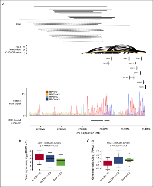 Figure 5. CNVs at CREs at the TRA locus are associated with gene expression in DLBCL. (A) Gain and loss of a CRE interacting with the MMP14 and PRMT5 promoters. The top panel shows the position of CNVs at the CRE, with copy number gains and losses represented by solid and dashed lines, respectively. The second panel shows chromatin looping interactions between the MMP14 and PRMT5 promoters and CREs, with the interaction between the promoters and the considered CRE colored yellow. The third panel details chromatin immunoprecipitation–sequencing histone mark signals in naive B cells. The bottom panel shows positions of BRD4-bound enhancers in DLBCL.4 CNV status at CRE and expression of MMP14 (B) and PRMT5 (C) in DLBCL tumors. Although the CREs are lost in 20 tumors, only 19 tumors are considered in the differential expression analysis, as 1 tumor also has a CNV at the target genes. Association between copy number status and gene expression assessed through linear regression. Boxplot hinges extend to the most extreme data points that are no more than 1.5 times the interquartile range from the box.