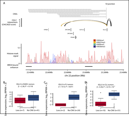 Figure 6. CNVs at CREs are associated with IGLL5 expression in B-cell malignancies. (A) The loss of a CRE interacting with the IGLL5 promoter. The top panel shows the position of CNVs at the CRE, all of which are losses, and the position of the VJ junction. The second panel shows chromatin looping interactions between the IGLL5 promoter and CREs, with the interaction between the promoter and the considered CRE colored yellow. The third panel details chromatin immunoprecipitation–sequencing histone mark signals in naive B cells. The bottom panel shows the positions of BRD4-bound enhancers in DLBCL.35 CNV status at CRE and gene expression in DLBCL (B) and FL (C) tumors. (D) CNV status at CRE and gene expression in secondary analysis of CLL tumors. Association between copy number status and gene expression assessed through linear regression. Boxplot hinges extend to the most extreme data points that are no more than 1.5 times the interquartile range from the box.