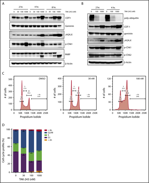 Figure 3. TAK-243 induces DNA damage and cell cycle arrest in DLBCL cells. OCI-LY19 (A) and OCI-LY3 (B) cells were treated with TAK-243, and proteins were lysed at the indicated time points and subjected to immunoblotting. (C-D) OCI-LY19 cells were treated with TAK-243 for 24 hours. Flow cytometry was used to measure DNA content in cells stained with propidium iodide. DMSO, dimethyl sulfoxide.
