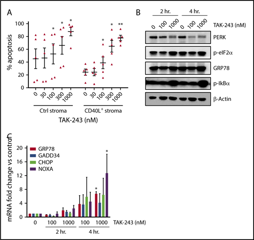 Figure 6. TAK-243 induces ER stress and apoptosis in primary DLBCL cells. (A) Primary DLBCL cells were cocultured with CD40L-expressing or control stroma for 24 hours, then treated with then indicated concentrations of TAK-243 for additional 24 hours. Apoptosis of the CD19-positive B cells was assessed by Annexin V staining. Data are presented as mean ± SE. (B-C) DLBCL cells (n = 3) were cocultured with the CD40L-expressing stroma for 24 hours and then treated with the indicated concentrations of TAK-243 for 2 and 4 hours. (B) Cells were harvested for protein lysates (analyzed by immunoblotting) and RNA. (C) Transcript mRNA levels were quantitated by quantitative RT-PCR, and fold change was measured against cells treated with vehicle control. *P < .05; **P < .01.