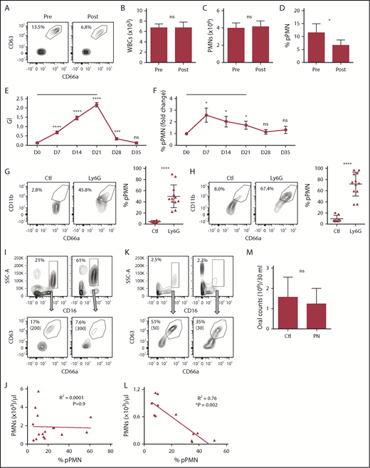 Figure 7. pPMN levels fluctuate with tissue trauma/inflammation and neutropenia. Blood was obtained from human volunteers prior to (pre) and 15 minutes following (post) gingival probing induced microtrauma (A-D; n = 9). Representative contour plots and pPMN percentages are shown (A). White blood cell counts (WBC) (B), total PMN counts per milliliter of blood (C), and percentage of pPMNs as a fraction of total gated PMNs (D) are shown. Mean values ± SEM are shown. P values were determined by paired Student t test. *P ≤ .05. (E-F) Clinical parameters and blood PMNs were assessed on a weekly basis for volunteers undergoing experimental gingivitis (n = 25). A black horizontal line designates the period of cessation of oral hygiene. GI and blood pPMN percentages were determined weekly from days 0 to 35. Mean values ± SEM are shown. Repeated measures ANOVA was performed with the Fisher's LSD test for multiple comparisons. All comparisons are relative to day 0 (D0). *P ≤ .05; ***P ≤ .0005; ****P ≤ .0001. (G-H) PMNs were depleted in mice by intraperitoneal injection of anti-Ly6G, and pPMN levels in BM (G) and blood (H) were determined 2 to 5 days later. We consistently observed a 90% to 98% depletion of PMNs in BM and blood by anti-Ly6G injection. Representative dot plots are shown for control (Ctl; n = 8) and Ly6G-depleted (Ly6G, n = 12) mice. The mean percentage of pPMNs as a fraction of total PMNs is shown (±SD). A 2-tailed unpaired Student t test was performed. ****P < .0001. (I-L) The percentage of PMNs and pPMNs in healthy controls and pediatric neutropenia patients was determined by flow cytometry. Representative contour plots are shown for 2 healthy controls (I) and 2 neutropenia patients (K). Percentage PMNs and percentage pPMNs are indicated. Absolute pPMN counts per microliter of blood are indicated in parentheses. Linear regression analysis was performed. An inverse correlation between pPMN percentage and PMNs per microliter of blood was observed in the neutropenia cohort (n = 12), whereas no correlation was found in the healthy controls (n = 16). (M) PMN counts from control (Ctl) and pediatric neutropenic patient (PN) oral rinse samples were determined. The 2-tailed Student t test was performed.