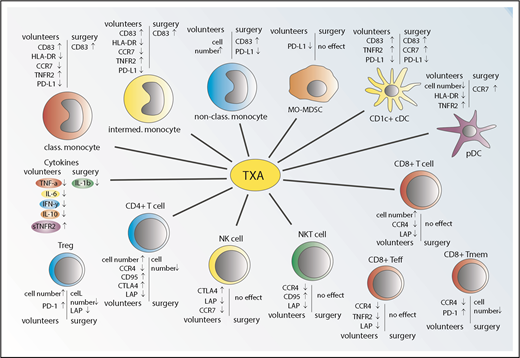 Figure 5. Summary of the effects of TXA treatment in healthy volunteers and surgery patients. TXA administration causes marked alteration in a variety of plasma cytokine levels, numbers of immune cells, and/or expression of key markers associated with immune activation and immunosuppression.