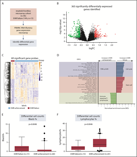 Figure 1. Distinct gene expression profile and enrichment of stem cells signature identified in diagnostic MNCs from patients who failed to achieve EMR. (A) The workflow of our study with regard to the discovery process, including samples from patients with EMR failure (n = 13) vs EMR achievement (n = 83), as defined by BCR-ABL1 percentage at 3 months. (B) Volcano plot demonstrating the effect of log2 fold change (FC) on the x-axis vs −log10 P value on the y-axis. Red circles indicate significant genes (FDR P < .05 and log2 FC > 0.6) with increased gene expression in the EMR failure patient group. Green circles indicate significant genes (FDR P < .05 and log2 FC < −0.6) with decreased gene expression in the EMR failure patient group. (C) Heatmap demonstrating the distinct gene expression patterns based on all significant probes (n = 502; FDR P < .05 and log2 FC > |0.6|). Orange represents increased gene expression level, and blue represents decreased gene expression level. The heatmap was generated using the pheatmap package. (D) GSEA indicates enrichment of stem cell signaling, cell cycle, and immune response/T lymphocytes in the EMR failure patient samples (BCR-ABL1 >10% IS at 3 months) compared with the EMR achievement patient samples (BCR-ABL1 ≤10% IS at 3 months). Blue bars represent cell cycle–related data sets. Red bars represent stem cell–related data sets. Green bars represent immune response/T lymphocyte–related signatures. Regarding normalized enrichment score (NES), positive score indicates positive enrichment in samples from patients who failed to achieve EMR, and negative score indicates enrichment in samples from patients who achieved EMR. (E) Boxplot displaying the differential blast percentage counts at diagnosis, indicating a significantly higher percentage in the samples collected from patients who failed to achieve EMR. Only 91 patients had differential blast percentage counts at diagnosis information available for analysis. (F) Boxplot displaying the lymphocyte percentage counts at diagnosis, indicating a significantly lower percentage in the EMR failure patient sample group. Only 94 patients had lymphocyte percentage counts at diagnosis information available for analysis. Statistical analysis was performed using the Mann-Whitney U test.