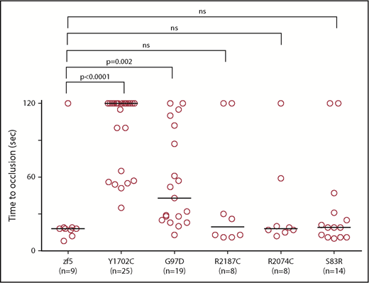 Figure 5. In vivo functional evaluation demonstrates variable severity of defects in VUS. Human F5 variants were engineered into the orthologous positions in the zebrafish f5 cDNA under the control the of the ubiquitin promoter. Expression vectors were injected into 1-cell stage embryos from f5 heterozygous incrosses. Laser-mediated endothelial injury was performed at 3 dpf and time to occlusion recorded, followed by genotyping. Although Y1702C and G97D demonstrated residual occlusion, they were unable to effectively rescue (P < .0001, P = .002, respectively, by the Mann-Whitney U test). Conversely, S83R, R2074C, and R2187C did not show statistically significant differences from wild-type rescue (not significant by the Mann-Whitney U test). Horizontal bars represent the median time to occlusion. Numbering reflects the human amino acid positions.