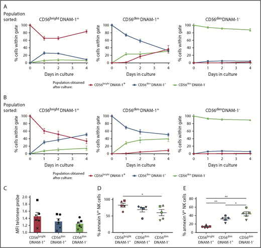 Figure 6. CD56dim DNAM-1neg NK cells are terminally differentiated. (A-B) CD56brightDNAM-1pos, CD56dimDNAM-1pos, and CD56dimDNAM-1neg NK cell subsets were purified from healthy donor PBMCs and cultured for 4 days in the presence of IL-2 (600 IU) (A) or IL-12 (10 ng/mL), IL-15 (100 ng/mL), and IL-18 (50 ng/mL) (B). At days 1, 2, and 4, NK cells were analyzed by using flow cytometry for surface expression of CD56 and DNAM-1. Results are displayed as the percentage of cells falling within CD56brightDNAM-1pos, CD56dimDNAM-1pos, or CD56dimDNAM-1neg gates. Data are shown as the mean ± SEM of duplicate wells from 5 individual donors pooled from 3 independent experiments. (C) Telomere length was determined by hybridization of a fluorescein isothiocyanate–labeled peptide nucleic acid probe to telomeric repeats in the DNA of NK cell subsets. For each NK cell subset, mean fluorescence intensity (MFI) values of the incorporated probe was normalized to K562 control cell fluorescence. Data are shown as mean ± SEM values obtained for 6 individual donors and are pooled from 3 independent experiments, with each symbol representing one individual donor. No significant difference was found by using a 1-way ANOVA on paired values. (D-E) Purified CD56brightDNAM-1pos, CD56dimDNAM-1pos, and CD56dimDNAM-1neg NK cells were cultured overnight in the absence (D) or presence (E) of IL-12 (10 ng/mL), IL-15 (100 ng/mL), and IL-18 (50 ng/mL). Apoptosis was determined by measuring Annexin V uptake by using flow cytometry. Data are shown as mean ± SEM from 5 individual donors. Individual dots represent the mean value of duplicate wells, with each symbol representing one individual donor. Data were analyzed by using a 1-way ANOVA on paired values followed by a Tukey multiple comparison post hoc test. *P < .05; **P < .01.