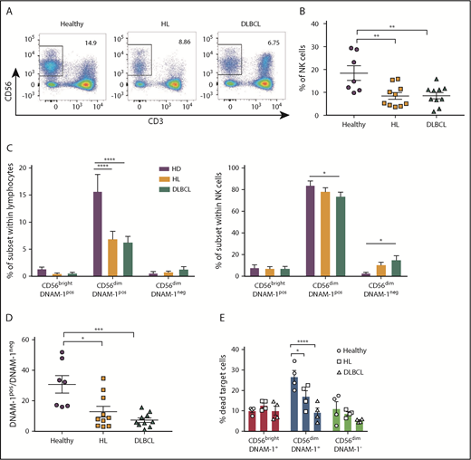 Figure 7. CD56dim DNAM-1neg NK cells are enriched in the peripheral blood of patients with hematologic malignancies. (A-B) NK cell proportions in peripheral blood of patients with HL or DLBCL compared with that of age- and sex-matched healthy control donors was determined via flow cytometry by gating on live CD3negCD56pos NK cells. Representative fluorescence-activated cell sorter plots (A) and the mean ± SEM of duplicate wells from 7 to 10 individual donors (B) from each group are shown. (C) NK cell subset distribution was determined by flow cytometry from healthy donor and HL and DLBCL patient samples. Results are shown as the mean ± SEM of subset frequencies within the whole lymphocyte population (left) or the NK cell population (right). (D) Graph shows the ratio of CD56dimDNAM-1pos over CD56dimDNAM-1neg NK cell as mean ± SEM. (E) CD56brightDNAM-1pos, CD56dimDNAM-1pos, and CD56dimDNAM-1neg NK cell subsets were purified from healthy donor and HL or DLBCL PBMCs and stimulated overnight in IL-12 (10 ng/mL), IL-15 (100 ng/mL), and IL-18 (50 ng/mL). The following day, cells were added to wells containing K562 target cells in a 10:1 effector:target ratio. After 4 hours of culture, cytotoxicity of NK cell subsets against K562 target cells was measured by fluorescence-activated cell sorter staining for Annexin V/PI. Results are shown as mean ± SEM from 4 individual donors run in duplicate and pooled from 2 independent experiments. Individual dots represent the mean value of duplicate wells. Data were analyzed with a 1-way ANOVA (B,D) or a 2-way ANOVA (C,E) followed by a Tukey multiple comparison post hoc test. *P < .05; **P < .01; ***P < .001; ****P < .0001.