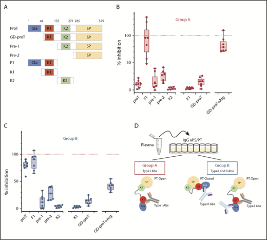 Figure 3. Epitope mapping of aPS/PT antibodies from groups A and B. (A) Prothrombin fragments: GD-proT (residues 44-579); prethrombin-1, pre-1 (156-579); prethrombin-2, pre-2 (residues 285-579); fragment-1, F1 (residues 1-154); kringle-1, K1 (residues 44-155); and kringle-2, K2 (residues 156-271). Total IgG extracts from 7 patients from group A (B) (50 μL) (P4, P7, P9, P13, P14, P24, and P27) and 7 patients from group B (C) (50 μL) (P1, P3, P6, P17, P19, P21, and P25) were mixed with a solution (50 μl, 10 μM) of proTWT or specified fragment for 30 minutes at room temperature. Argatroban (Arg) was mixed with GD-proT at a concentration of 250 μM. The residual level of aPS/PT antibodies from group A (B) and group B (C) was quantified by using ELISA assays as described before. The effect of each competitor is reported as the percentage of inhibition relative to the effect of proTY93A (100%, dashed red line). (D) Visual abstract summarizing the main finding of the epitope mapping studies.