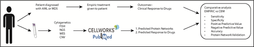 Figure 1. Study schema of the iCare 1 clinical study. NGS, next-generation sequencing; WES, whole-exome sequencing.