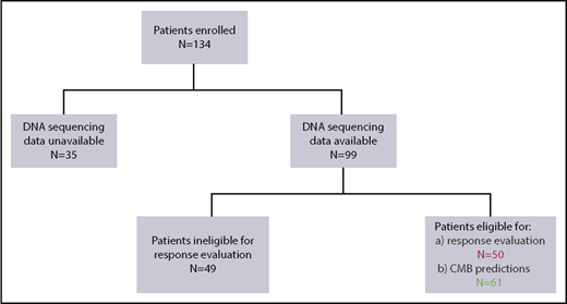 Figure 2. Flowchart of the iCare 1 patient population.