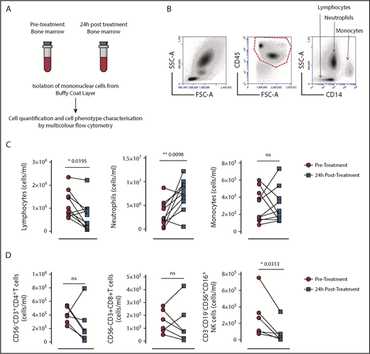 Figure 1. Bone marrow mononuclear cell numbers in patients with MM before and after cyclophosphamide treatment. (A) Absolute numbers of the 3 major bone marrow subtypes were quantified by using flow cytometry in bone marrow samples from 10 adults diagnosed with MM before (pretreatment) and 24 hours after (posttreatment) with CyBorD DARA. (B) Specific CD45+ bone marrow subpopulations were identified based on side scatter characteristics and surface expression of CD14. Representative gating strategy for bone marrow aspirates for the identification and quantification of lymphocytes, neutrophils, and monocytes. (C) Graphed dot plots indicate the absolute number of lymphocytes, neutrophils, and monocytes from bone marrow aspirates before (prescreened) and 24 hours’ posttreatment with CyBorD DARA (n = 10). (D) Dot plots indicate the absolute number of CD4+ and CD8+ T cells and NK cells pretreatment and posttreatment (n = 6). Gating for subpopulation of lymphocytes is shown in supplemental Figure 1. Lines between dots indicate paired samples. Wilcoxon matched pairs signed rank test and paired Student t tests were used to detect statistically significant differences between pretreatment and posttreatment samples. *P < .05, **P < .01. FSC-A, forward scatter–area; ns, not significant; SSC-A, side scatter–area.