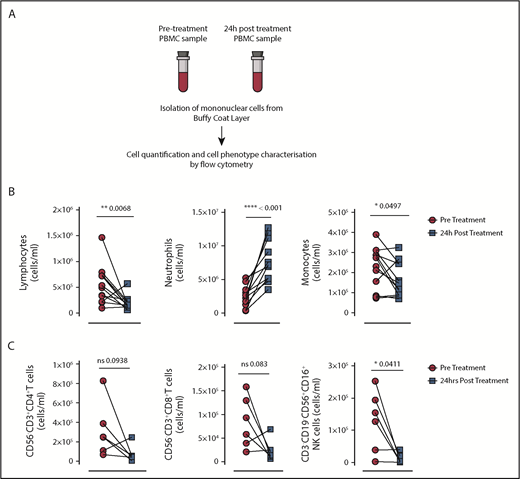 Figure 2. PB mononuclear cell (PBMC) numbers in patients with MM before and after cyclophosphamide treatment. (A) Absolute numbers of the 3 major PB subtypes were quantified by using flow cytometry in blood samples from 10 adults diagnosed with MM before (pretreatment) and 24 hours after (posttreatment) with CyBorD DARA. Specific CD45+ PB subpopulations were identified based on side scatter characteristics and surface expression of CD14 (as in Figure 1B). (B) Graphed dot plots indicate the absolute number of lymphocytes, neutrophils, and monocytes from bone marrow aspirates before (prescreened) and 24 hours’ posttreatment with CyBorD DARA (n = 10). (C) Dot plots indicate the absolute number of CD4+ and CD8+ T cells and NK cells pretreatment and posttreatment (n = 6). Gating for subpopulation of lymphocytes is shown in supplemental Figure 1. Each dot represents an individual patient. Lines between dots indicate paired samples. Wilcoxon matched pairs signed rank test and paired Student t tests were used to detect statistically significant differences between pretreatment and posttreatment samples. *P < .05, **P < .01, ****P < .001. ns, not significant.