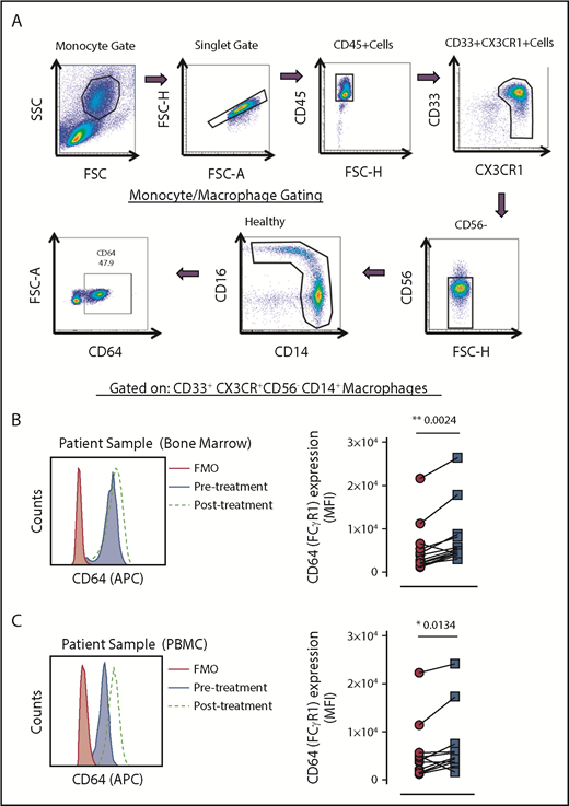 Figure 3. Multicolor flow cytometry for the identification and expression of CD64 on PB and bone marrow monocyte subsets. (A) Representative dot plots are shown to illustrate the gating strategy for the identification of total monocytes. Monocytes were identified by CD33+CX3CR+CD56–CD14+ expression. (B) Representative histogram of CD64 expression on CD33+CX3CR+CD56-CD14+ bone marrow monocytes/macrophages from a patient with MM pretreatment and posttreatment. The black histogram is the fluorescence minus one control (FMO). The gray filled histogram identifies the pretreatment bone marrow sample, and the dotted line represents the posttreatment bone marrow sample (left). Dot plots indicate the mean fluorescence intensity of CD64 expression pretreatment and posttreatment on CD33+CX3CR+CD56–CD14+ monocytes/macrophages (n = 13) (right). (C) Representative histogram of CD64 expression on CD33+CX3CR+CD56–CD14+ PB monocytes/macrophages from a patient with MM pretreatment and posttreatment. The black histogram is the FMO. The gray filled histogram identifies the pretreatment PB sample, and the dotted line represents the posttreatment PB sample (left). Dot plots indicate the mean fluorescence intensity of CD64 expression pretreatment and posttreatment on CD33+CX3CR+CD56–CD14+ PB monocytes/macrophages (n = 13) (panel B, right). Lines between dots indicate paired samples. Wilcoxon matched pairs signed rank test and paired Student t tests were used to detect statistically significant differences between pretreatment and posttreatment samples. *P < .05, **P < .01. APC, allophycocyanin; FSC-H, forward scatter–height; MFI, mean fluorescence intensity; SSC, side scatter.