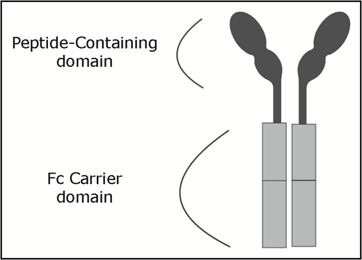 Figure 1. Romiplostim peptide body.