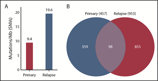 Figure 1. Mutation burden at diagnosis and relapse. DNA was extracted from primary, remission, and relapse samples and subjected to WES. The remission sample was used as a baseline control to exclude germline variants. (A) SNVs were quantified, and TMB was calculated, showing that the primary sample contained 9.4 mutations per megabase of DNA, whereas the relapse sample had 19.6 mutations per megabase. (B) A total of 457 SNVs was detected in the primary sample, and 953 SNVs were detected in the relapse sample. Of these, 98 SNVs were common to the primary and the relapse samples.