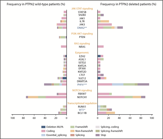 Figure 2. Genetic profile of PTPN2-deleted adult T-ALL. Comparison of the mutational genotypes and large deletions of adult PTPN2-deleted (N = 19) and wild-type adult T-ALLs (N = 175), with a focus on alterations found in at least 5% of the whole cohort. Percentage frequencies in each group are indicated. Mutations are color coded according to type, as depicted. Genes are grouped by functional categories. *P < .05; **P = .004; ***P < .0001.