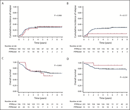 Figure 3. Survival according to PTPN2 status. CIR in the adult (A) and pediatric (B) cohort. OS in the adult (C) and pediatric (D) cohort. Red curves represent PTPN2-deleted T-ALL, and blue curves indicate PTPN2 wild-type patients. P values are indicated.