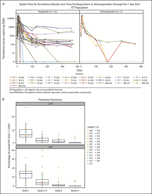 Persistence of NY-ESO-1 SPEAR T cells in the peripheral blood and bone marrow. (A) Persistence of NY-ESO-1 SPEAR T cells in PBMC through 1 year after T-cell infusion measured by quantitative polymerase chain reaction methodology is shown for responders (left) and nonresponders (right). Note: Responder/nonresponder status based on BOR up to year 1. (Assumptions: average of 1 vector copy per cell based on transduction efficiency; 1 μg DNA = ∼158 000 cells. Lower limit of quantification of the assay was established at 50 copies/μg DNA at the University of Pennsylvania, and 100 copies/μg DNA at Cambridge Biomedical.) (B) Persistence of NY-ESO-1 SPEAR T-cells in PBMC through 100 days after T-cell infusion was confirmed via flow cytometry measurements. Box plot shows the mean, upper, and lower quartiles. (C) Persistence of NY-ESO-1 SPEAR T cells was compared in PBMC and bone marrow (BM) from patients with paired samples, and is shown as a percentage of the total CD4+ (or CD8+) T cells. Box plot shows the mean, upper, and lower quartiles. (D) NY-ESO-1 SPEAR T-cell proliferation in the BM and PBMC was demonstrated by Ki-67 staining. Box plot shows the mean, upper, and lower quartiles. Day 21 was selected because of patient numbers (evaluable BM samples, n = 8) and robust data at this time. Note: the pentamer is less efficient for CD4+ T-cell binding and, therefore, may underestimate this compartment.