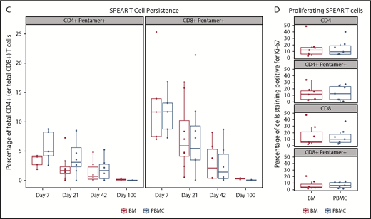 Persistence of NY-ESO-1 SPEAR T cells in the peripheral blood and bone marrow. (A) Persistence of NY-ESO-1 SPEAR T cells in PBMC through 1 year after T-cell infusion measured by quantitative polymerase chain reaction methodology is shown for responders (left) and nonresponders (right). Note: Responder/nonresponder status based on BOR up to year 1. (Assumptions: average of 1 vector copy per cell based on transduction efficiency; 1 μg DNA = ∼158 000 cells. Lower limit of quantification of the assay was established at 50 copies/μg DNA at the University of Pennsylvania, and 100 copies/μg DNA at Cambridge Biomedical.) (B) Persistence of NY-ESO-1 SPEAR T-cells in PBMC through 100 days after T-cell infusion was confirmed via flow cytometry measurements. Box plot shows the mean, upper, and lower quartiles. (C) Persistence of NY-ESO-1 SPEAR T cells was compared in PBMC and bone marrow (BM) from patients with paired samples, and is shown as a percentage of the total CD4+ (or CD8+) T cells. Box plot shows the mean, upper, and lower quartiles. (D) NY-ESO-1 SPEAR T-cell proliferation in the BM and PBMC was demonstrated by Ki-67 staining. Box plot shows the mean, upper, and lower quartiles. Day 21 was selected because of patient numbers (evaluable BM samples, n = 8) and robust data at this time. Note: the pentamer is less efficient for CD4+ T-cell binding and, therefore, may underestimate this compartment.