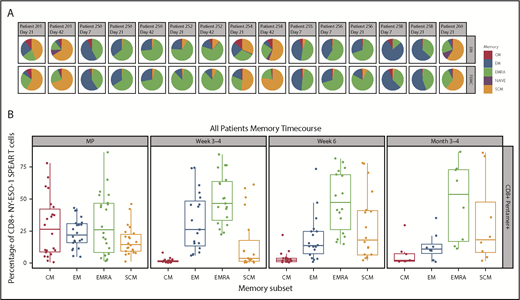 Figure 3. Memory phenotypes of NY-ESO-1 SPEAR T cells. (A) Distribution of memory subsets with described phenotypic markers of CM, EM, EM RA+ (EMRA), stem cell memory SCM, and naïve within CD8+ pentamer+ NY-ESO-1 SPEAR T cells in BM and PBMC postinfusion were performed in patients in whom parallel collection of BM and PBMC was carried out and in whom sufficient cells were available for analysis (n = 8). Pie chart colors represent the proportions of NY‐ESO‐1 SPEAR T‐cells with described phenotypic markers of CM (red), EM (blue), EMRA (green), SCM (orange), and naïve cells (purple) within CD8+ SPEAR T‐cells. (B) Percentage of NY-ESO-1 SPEAR T cells with described phenotypic markers of CM, EM, EMRA, and SCM within CD8+ pentamer+ NY-ESO-1 SPEAR T cells in the manufactured product and posttreatment PBMC at various times from all 25 patients. The dominant populations of persisting cells were EMRA (green) and SCM (orange). Box plot shows the mean and upper and lower quartiles.