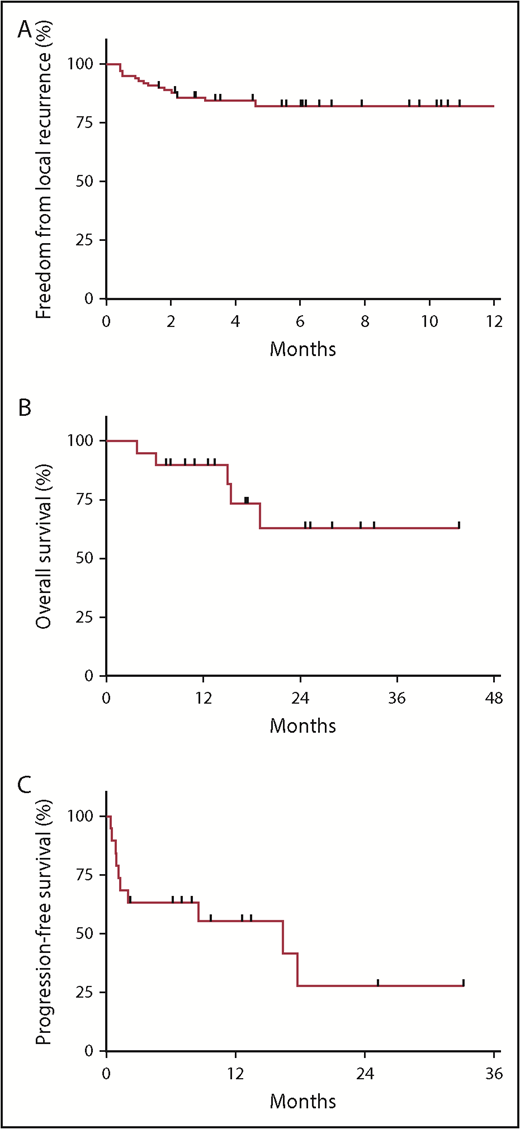 Figure 1. Outcomes following LDRT (4 Gy). (A) FFLR at 2 and 4 months was 88.8% and 84.5%, respectively. (B) OS at 1 year following initial LDRT was 90% among the 19 patients. (C) PFS at 1 year following the last course of LDRT was 55%. Nine patients were progression-free at the time of analysis (with a median follow-up of 9.7 months), and 3 patients were completely off systemic therapy since last LDRT course.