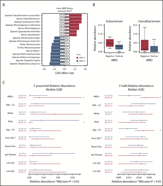 Figure 1. Fecal microbiota analysis according to MRD status. (A) Linear discriminant analysis (LDA) effect size analysis of microbiota differentially associated with MRD status with subclass of autologous stem cell transplantation (ASCT). (B) Relative abundance of genera Eubacterium and Faecalibacterium by MRD status. (C) Forest plots showing effect of covariates on relative abundance of E hallii and F prausnitzii.