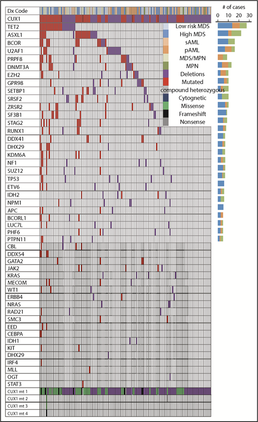 Figure 2. Association of CUX1MT and CUX1DEL with somatic genetic events in MNs. Mutational analysis obtained from WES and TS, karyotyping, and disease type obtained from medical chart review were summarized in a waterfall plot showing the association between diagnoses, karyotyping, number, and type of CUX1 mutations and correlation with 48 commonly mutated genes per each sample. Bar graph (right side) shows the number of cases. CUX1MT and CUX1DEL were 50 and 87, respectively. Red and purple colors indicate presence of mutations and deletions, respectively. Legend summarizes the disease type, cytogenetic status, and types of mutations.