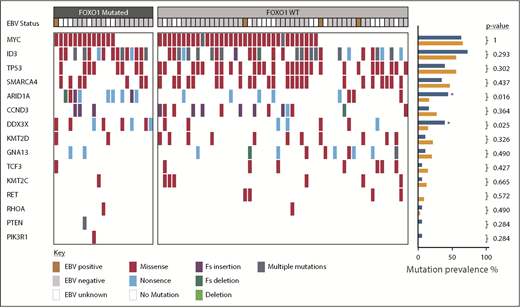 Figure 3. Overview of somatic mutations identified in the pediatric sporadic BL cohort. Mutations affecting genes previously identified as commonly mutated in BL are shown. Each column represents a BL sample, ordered by the presence or absence of FOXO1 mutations. EBV status is indicated as positive or negative. Mutations are colored-coded by type. The prevalence of different mutations in FOXO1 mutated (blue) and nonmutated (orange) cases is shown in the right-hand barcharts and genes significantly more commonly mutated in FOXO1 mutated cases are indicated by an asterisk (Fisher’s exact test). EBV, Epstein-Barr virus; Fs, frameshift.