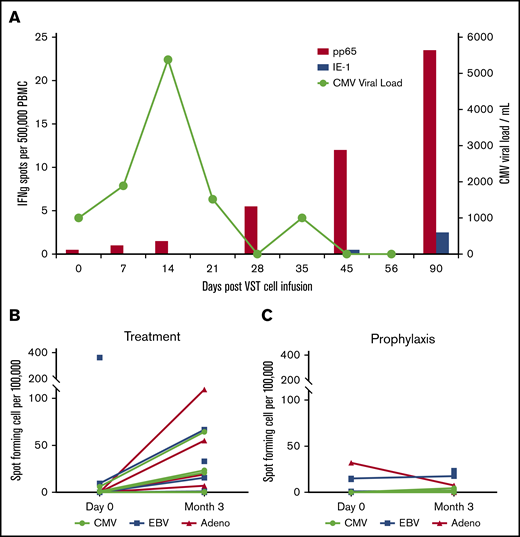T-cell persistence and viral load in patients treated with CB-VSTs. (A) Detection of CMV-specific T cells in the peripheral blood of patient P0039 (red bars) and the CMV viral load (green line). Detection of CMV-, EBV-, and adenovirus-specific T cells at baseline compared with 3 months after VST infusion in the viral treatment group (B) and the prophylaxis group (C).