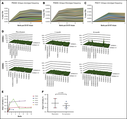 Detection and persistence of unique TCRs over time using TCR sequencing. (A-C) Shown are unique clonotypes that were present in the VST cell product but not present before VST cell infusion. (D) TCR-Vβ diversity over time in patient P2891 in CD45RA+ (naïve) and CD45RA– (memory) T-cell populations. (E) Persistence of unique T-cell clones over time in all patients with available data. (F) Unique T-cell clone contribution at 1 month after VST infusion separated by whether patients had detectable virus within the first month of infusion (reactivation) or not (no reactivation).