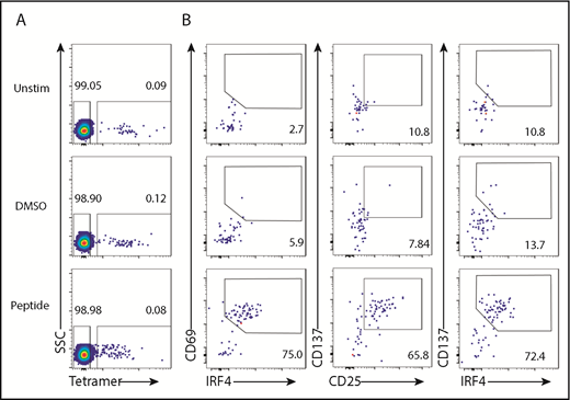 Figure 2. IRF4 expression by tetramer+ CD8+ T cells. PBMCs from HLA-A2+ healthy donors were prestained with Flu-M1–A2 tetramer and cultured with Flu-M1 GILGFVFTL peptide for 18 hours. (A) Frequency of tetramer+ cells in CD8+ T cells in unstimulated, DMSO-treated, and peptide-stimulated PBMCs. (B) Frequency of IRF4/CD69 (left panels), CD25/CD137 (middle panels), and IRF4/CD137 (right panels) of tetramer+ CD8+ T cells in unstimulated, DMSO-treated, and peptide-stimulated PBMCs. A representative result from 5 individual experiments is shown.