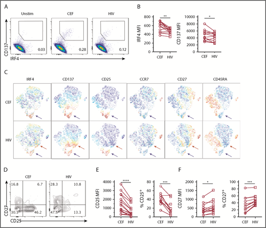 Figure 6. HIV-specific CD8+ T cells express low IRF4. PBMCs from HIV+ subjects were stimulated with 1 μg/mL CEF peptides or HIV peptides for 18 hours. (A) Expression of IRF4 and CD137 by CD8+ T cells. (B) MFI of IRF4 and CD137 expression by CD8+ T cells specific for CEF and HIV peptides (n = 13). (C) viSNE analysis showing differential marker expression by CD8+ T cells specific for CEF peptides (upper panels) or HIV peptides (lower panels). A representative result of 13 samples (gated on CD8+CD69+ T cells) is shown. Red arrows indicate a cell population uniquely observed in the HIV-specific CD8+ T cells. Blue arrows indicate a cell population shared between CEF- and HIV-specific CD8+ T cells. (D) CD27 and CD25 expression by IRF4+CD137+ CD8+ T cells in PBMCs stimulated with CEF or HIV peptides. A representative result of 11 samples is shown. (E) MFI of CD25 (left panel) and percentage of CD25+ (right) by IRF4+CD137+ CD8+ T cells in PBMCs stimulated with CEF or HIV peptides (n = 11). (F) MFI of CD27 (left panel) and percentage of CD27+ (right panel) by IRF4+CD137+ CD8+ T cells in PBMCs stimulated with CEF or HIV peptides (n = 11). *P < .05, **P < .01, ***P < .001, ****P < .0001, paired Student t test.