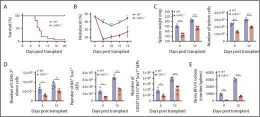 Figure 2. Gdf15 signaling is required for erythroid short-term radioprotection following bone marrow transplant. Analysis of short-term radioprotection by WT or Gdf15−/− bone marrow cells following transplant into lethally irradiated recipients. (A) Survival curve with P < .001 (Gehan-Breslow-Wilcoxon test). Data are representative of 4 individual transplants with total n = 9 for WT and n = 16 for Gdf15−/−. (B) Hematocrit levels during the recovery period. Each time point reflects >5 mice analyzed. Data are shown as the mean ± SEM. (C-E) Donor mice were CD45.2 and recipient mice were CD45.1. Spleens were isolated at day 8 and day 10 post-BMT for analysis. (C) Analysis of the proliferation of cell in the spleen following transplant, spleen weight (left), and total cell number (right) on the indicated days after transplant are shown. (D) Analysis of donor cell proliferation, total CD45.2+ donor cells (left), Kit+Sca1+ progenitors (middle), and CD34+CD133+Kit+Sca1+ progenitors (right) in each spleen. (E) Number of stress BFU-E in the spleen on the indicated days after transplant. Each time point reflects >3 mice analyzed. Data are shown as individual subject and the mean ± SEM. *P < .05, **P < .01, and *** P < .001.