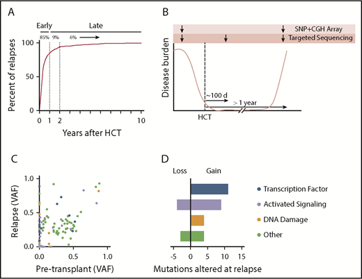 Figure 1. Late relapse study design and driver mutation analysis. (A) Time to relapse (in years) after alloHCT for AML, myelodysplastic syndrome (MDS), or myeloproliferative disease between 2001 and 2015 at our institution. (B) Schematic of trio targeted sequencing and microarray analysis for 25 patients. (C) Scatter plot showing variant allele frequency (VAF) at time of paired pretransplantation and relapse samples. (D) Alterations in myeloid driver mutations at relapse. Mutations were categorized as lost if they were present at ≥0.02 VAF pretransplantation and absent or <0.02 VAF at relapse. Similarly, mutations were categorized as gained if they were absent or <0.02 VAF pretransplantation and present at ≥0.02 VAF at relapse. CGH, comparative genome hybridization.