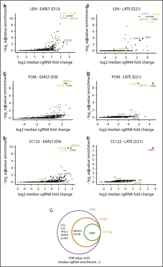 Figure 2. CRISPR screens identify candidates for genes whose inactivation confers CM resistance. (A-F) Gene level analysis of changes in sgRNA distribution in cell pools harvested at early times (day 13 for LEN or day 9 for POM and CC-122) (A,C,E) or late times (day 21) (B,D,F). The most relevant genes are highlighted and labeled using identical colors in all panels. (G) Venn diagram depicting overlap of most confident candidates for genes whose inactivation confers outright resistance against LEN, POM, or CC-122. Cutoffs used were FDR adjusted (adj). P < .05 and a median sgRNA fold change >2 on day 21.