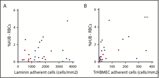 Figure 3. RBC adhesion and HJB-RBCs in children with SCA. Spearman correlation between the amount of adherent RBCs/mm2 on laminin (A) and TrHBMEC and %HJB-RBCs (B). At 3 to 6 (red dots) and 18 months (blue dots). n = 28; R2 = 0.43; ***P < .001.