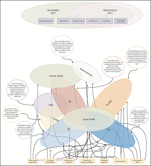 Figure 1. Spectrum and pathophysiology of post-HSCT endothelial complications. The Venn diagram highlights the overlap of endothelial syndromes, both diagnostically and pathophysiologically, with GVHD. Many clinical and pathophysiological features of GVHD parallel those of other EC activation syndromes in which a single organ is targeted. Here, atherosclerosis and several delayed forms of IPS have been proposed as late endothelial dysfunction syndromes overlapping with chronic GVHD. DAH, diffuse alveolar hemorrhage; PERDS, peri-engraftment respiratory distress syndrome.