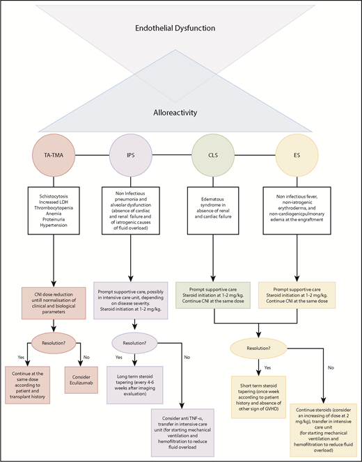 Figure 2. Proposed management of endothelial syndromes.