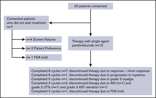 Consort diagram for pilot study of pembrolizumab therapy in smoldering myeloma. AKI, acute kidney injury attributed to pembrolizumab; AST, aspartate aminotransferase elevation attributed to pembrolizumab; LFTs, liver function tests elevation attributed to pembrolizumab.